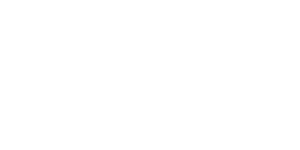 Bluechip Computers Partner