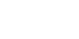 d.velop Partner