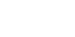 Sage Platin Partner